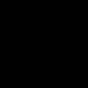 Meet your Posher, Rodriguez